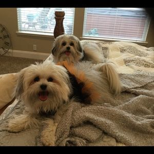 Meet your Posher, Dina